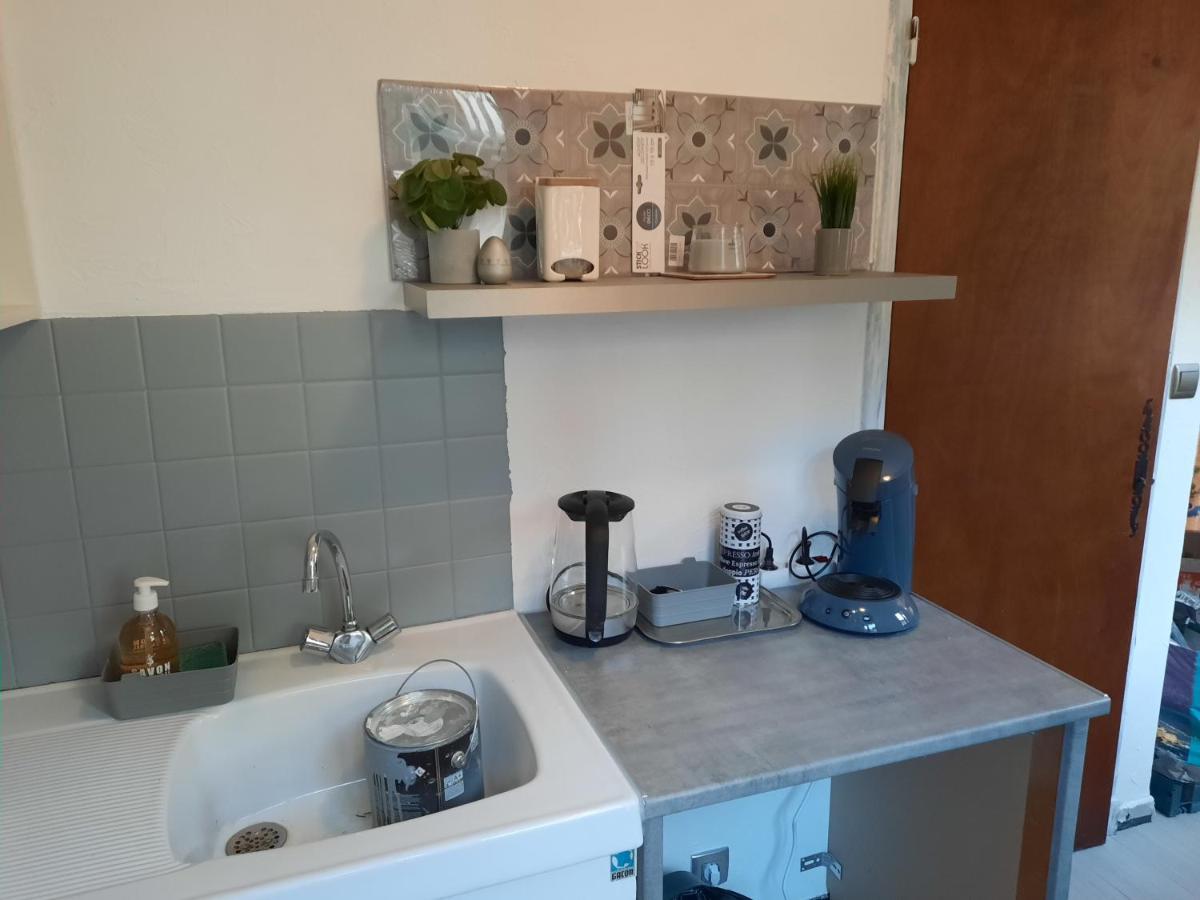 Studio Renove Au Coeur Du Village Saint-Martin-Vésubie エクステリア 写真